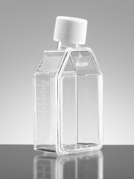 Corning&#174; Falcon&#174; Cell Culture Flask capacity 150&#160;mL, canted neck, graduated, 25 &#8209; 325&#160;mL, cap, blue vented