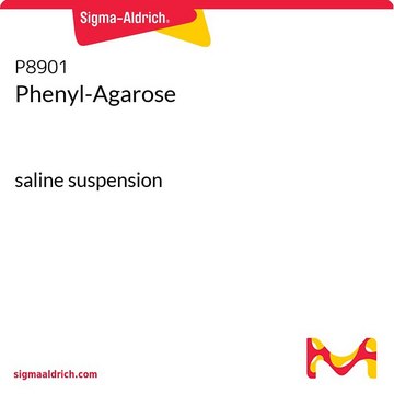 Phenyl-Agarose saline suspension