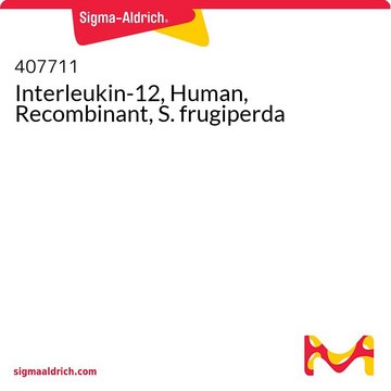 Interleukin-12, Human, Recombinant, S. frugiperda