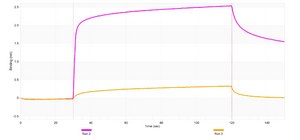 Anti-Ovalbumin Antibody, clone 3G13 ZooMAb&#174; Rabbit Monoclonal recombinant, expressed in HEK 293 cells
