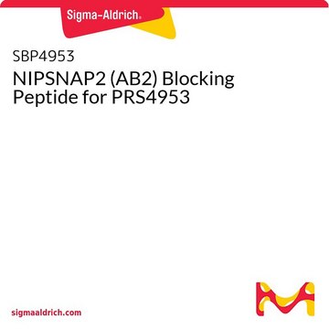 NIPSNAP2 (AB2) Blocking Peptide for PRS4953
