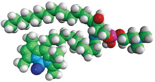 C11 TopFluor&#8482; Sphingomyelin N-[11-(dipyrrometheneboron difluoride)undecanoyl]-D-erythro-sphingosylphosphorylcholine, powder