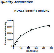 HDAC-6 human recombinant, expressed in baculovirus infected insect cells, &#8805;80% (SDS-PAGE)
