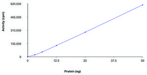ABL1, active, His tagged human PRECISIO&#174;, recombinant, expressed in baculovirus infected Sf9 cells, &#8805;70% (SDS-PAGE), buffered aqueous glycerol solution