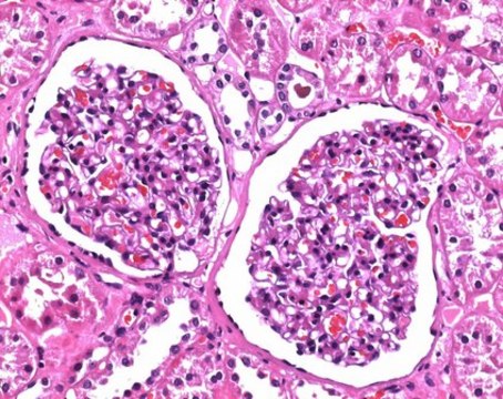 Formaldehyde solution 4%, buffered, pH 6.9 (approx. 10% Formalin solution) for histology