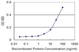 Monoclonal Anti-RXRB antibody produced in mouse clone 2E6, purified immunoglobulin, buffered aqueous solution