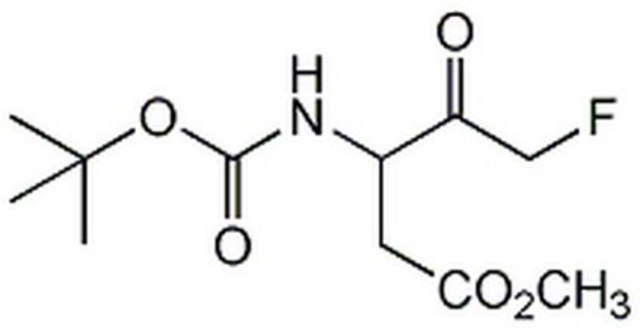 Caspase Inhibitor III The Caspase Inhibitor III, also referenced under CAS 634911-80-1, controls the biological activity of Caspase. This small molecule/inhibitor is primarily used for Cancer applications.