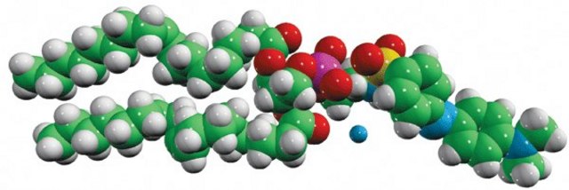 18:1 Dabsyl PE Avanti Research&#8482; - A Croda Brand 810509P, powder