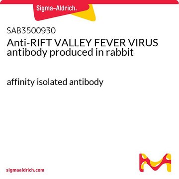 Anti-RIFT VALLEY FEVER VIRUS antibody produced in rabbit affinity isolated antibody