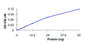 PP2C-&#945;, active, GST tagged human recombinant, expressed in baculovirus infected Sf9 cells, &#8805;70% (SDS-PAGE), buffered aqueous glycerol solution