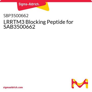 LRRTM3 Blocking Peptide for SAB3500662