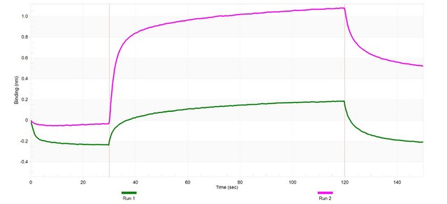 Anti-Podocalyxin Antibody, clone 1E13 ZooMAb&#174; Rabbit Monoclonal recombinant, expressed in HEK 293 cells
