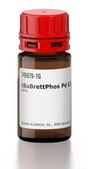 tBuBrettPhos Pd G3 96%