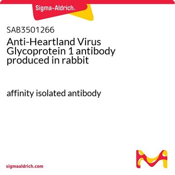 Anti-Heartland Virus Glycoprotein 1 antibody produced in rabbit affinity isolated antibody