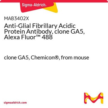 Anti-Glial Fibrillary Acidic Protein Antibody, clone GA5, Alexa Fluor&#8482; 488 clone GA5, Chemicon&#174;, from mouse