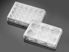 Corning&#174; BioCoat&#8482; Poly-L-Ornithine/Laminin Multiwell Plate flat bottom clear wells, lid