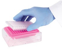 PCR 96-well Cooler pink-purple
