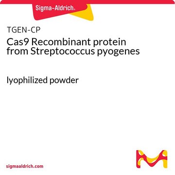 Cas9 Recombinant protein from Streptococcus pyogenes lyophilized powder