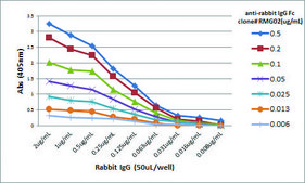 Anti-Rabbit IgG Fc-Biotin antibody, Goat monoclonal recombinant, expressed in HEK 293 cells, clone RMG02, purified immunoglobulin