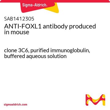 ANTI-FOXL1 antibody produced in mouse clone 3C6, purified immunoglobulin, buffered aqueous solution