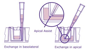Millicell&#174; 6 well hanging cell culture inserts pore size 0.4&#160;&#956;m, clear PET membrane, diam. 24&#160;mm, Tissue Culture (TC)-treated surface, sterile