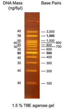 DirectLoad&#8482; Plus 100bp High DNA Ladder with fluorescent DNA stains