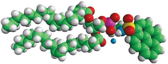 18:1 Pyrene PE Avanti Research&#8482; - A Croda Brand 810331P, powder