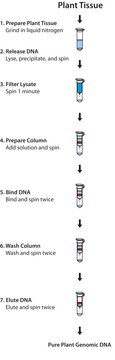 GenElute&#8482; Plant Genomic DNA Miniprep Kit sufficient for 70&#160;purifications