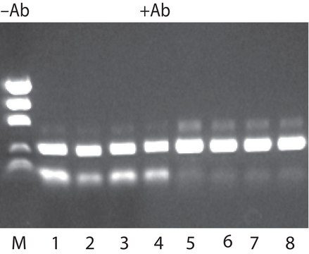 JumpStart&#8482; REDTaq&#174; DNA Polymerase Hot-start Taq enzyme with inert dye, 10X buffer included