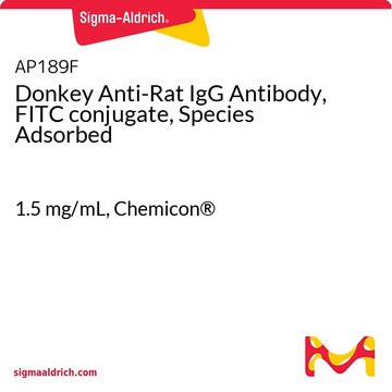 Donkey Anti-Rat IgG Antibody, FITC conjugate, Species Adsorbed 1.5&#160;mg/mL, Chemicon&#174;