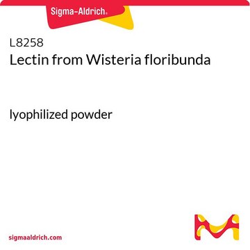 Lectin from Wisteria floribunda lyophilized powder