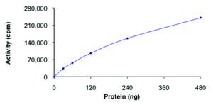 NUAK1, active, GST tagged human PRECISIO&#174; Kinase, recombinant, expressed in baculovirus infected Sf9 cells, &#8805;70% (SDS-PAGE), buffered aqueous glycerol solution