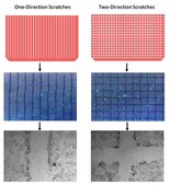 Cell Comb&#8482; Scratch Assay