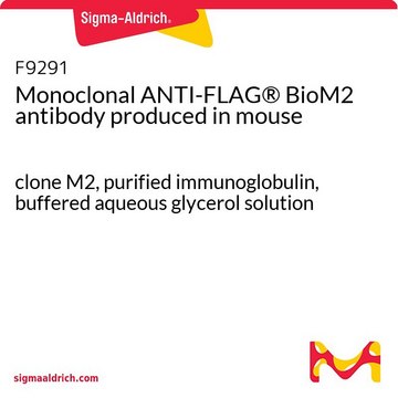 Monoclonal ANTI-FLAG&#174; BioM2 antibody produced in mouse clone M2, purified immunoglobulin, buffered aqueous glycerol solution