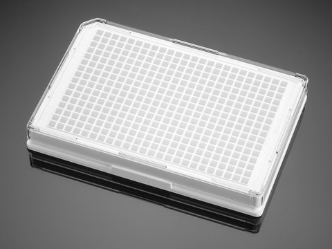 Corning&#174; BioCoat&#8482; Collagen I Microplate well size 384&#160;wells, flat bottom clear white wells, sterile, lid