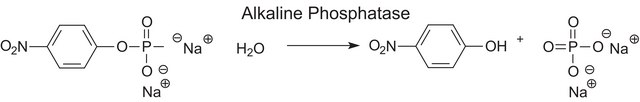 Alkaline Phosphatase Diethanolamine Activity Kit sufficient for 100&#160;tests