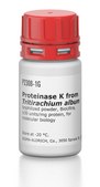 Proteinase&#160;K from Tritirachium album lyophilized powder, BioUltra, &#8805;30&#160;units/mg protein