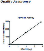 HDAC-11 human recombinant, expressed in baculovirus infected insect cells, &#8805;10% (SDS-PAGE)