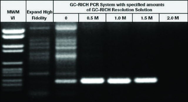 GC-RICH PCR System, dNTPack suitable for PCR, hotstart: no, Difficult Templates/Specialty Enzymes PCR