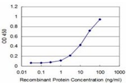 ANTI-PAX8 antibody produced in mouse clone 1C3, purified immunoglobulin, buffered aqueous solution