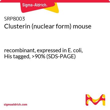 Clusterin (nuclear form) mouse recombinant, expressed in E. coli, His tagged, &gt;90% (SDS-PAGE)