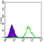 Anti-ACLY, clone 5F8D11 Antibody clone 5F8D11, from mouse