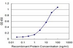 ANTI-PPARGC1A antibody produced in mouse clone 3B5, purified immunoglobulin, buffered aqueous solution