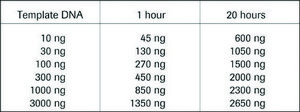 DIG-High Prime sufficient for 40&#160;labeling reactions, pkg of 160&#160;&#956;L, solution