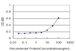 ANTI-SERPINA6 antibody produced in mouse clone 3C12, purified immunoglobulin, buffered aqueous solution