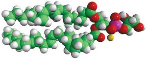 E. coli PG Avanti Research&#8482; - A Croda Brand 841188P, powder