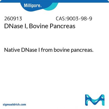 DNase I, Bovine Pancreas Native DNase I from bovine pancreas.