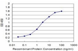 Monoclonal Anti-MAGEA9 antibody produced in mouse clone 1E3, purified immunoglobulin, buffered aqueous solution