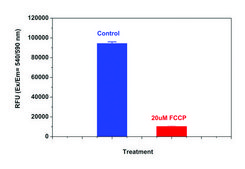 Mitochondrion Membrane Potential Kit sufficient for 500&#160;fluorometric&nbsp;tests (orange fluorescence, microplate readers)