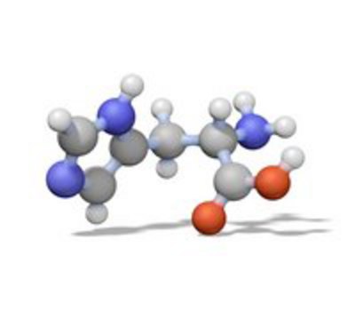 Trypsin Inhibitor, Soybean